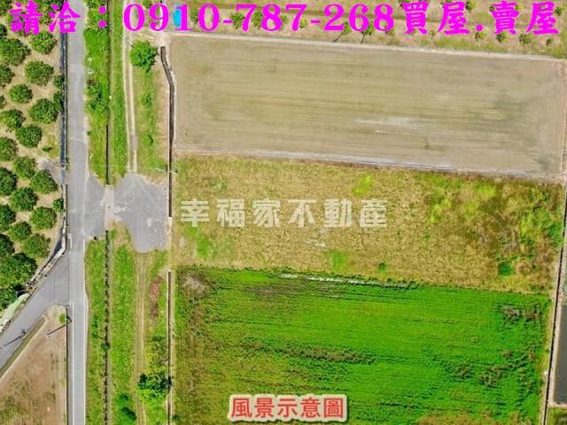 台南麻豆農地-5