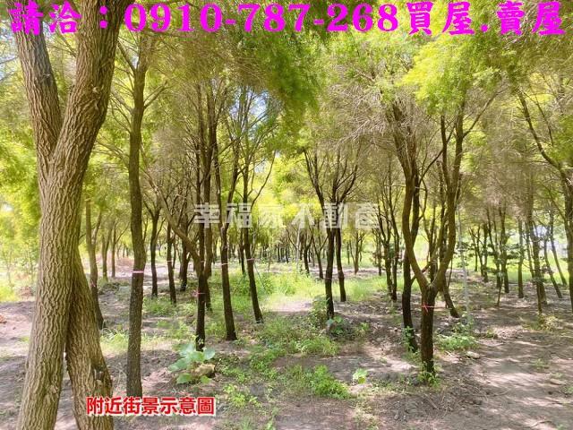 台南六甲農地-4