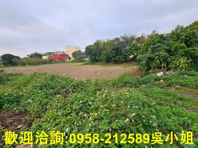 新竹湖口農地-10