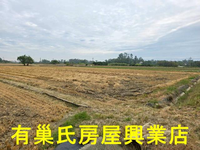 台南農地-12