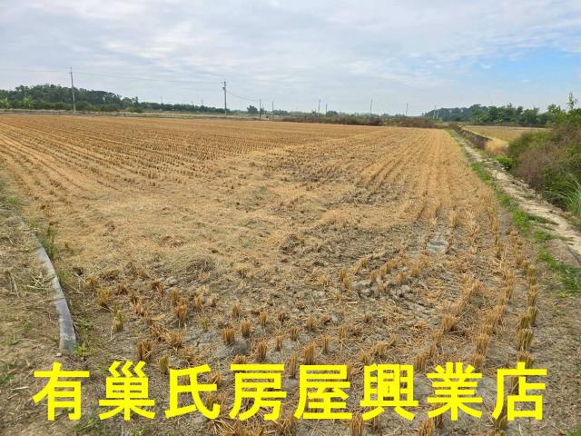 台南農地-4