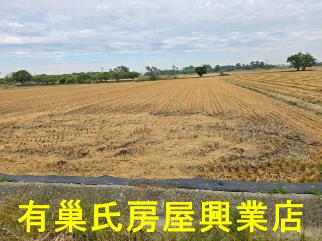 台南農地-6