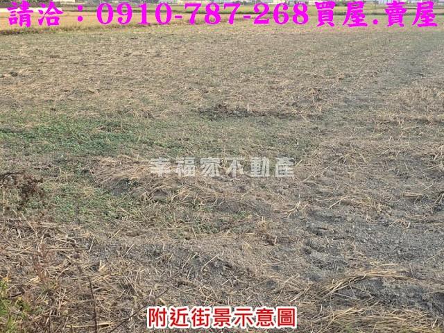 台南官田農地-3