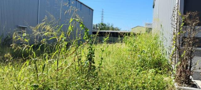 高雄燕巢農地-2