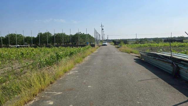 台南麻豆農地-5
