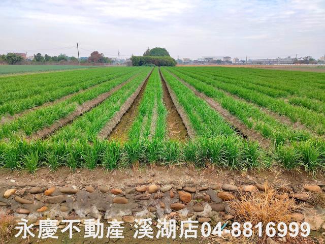 埔鹽農地-9