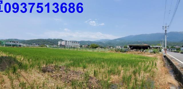 宜蘭礁溪農地-10