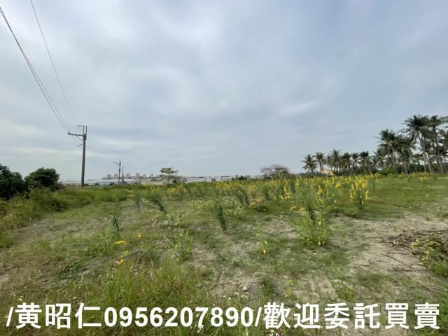 台南永康農地-2