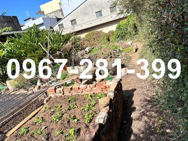 苗栗通霄建地-1