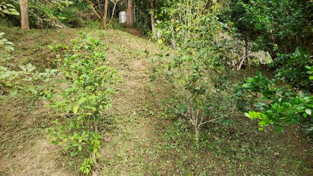 新竹北埔農地-11