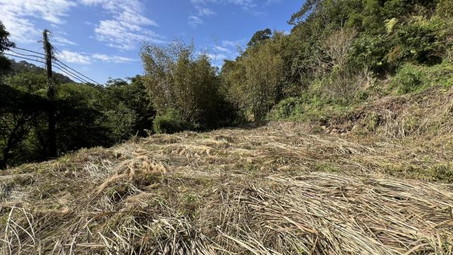 新竹關西建地-3