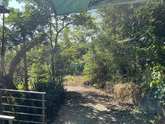 高雄旗山農地-10