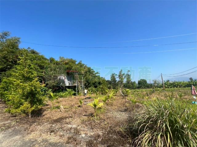 高雄旗山農地-5