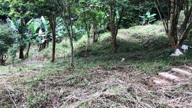 新竹關西農地-10