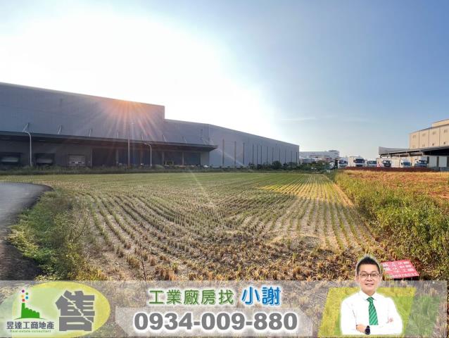 桃園大園工業地-1
