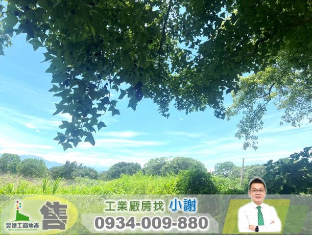 桃園大溪工業地-1