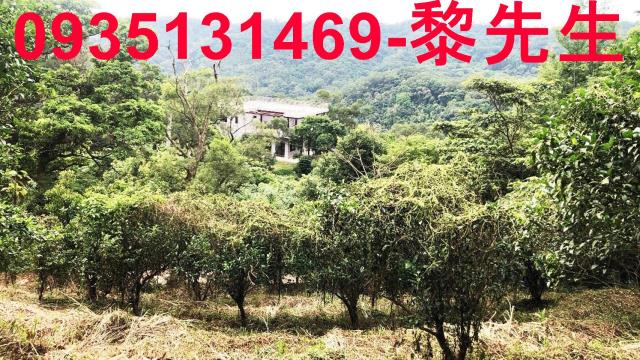 新竹關西農地-4