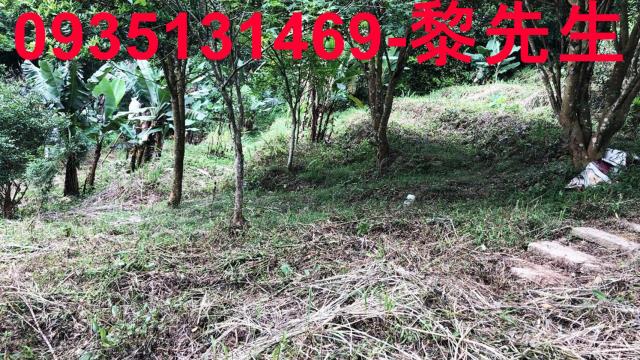 新竹關西農地-1