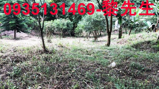 新竹關西農地-8