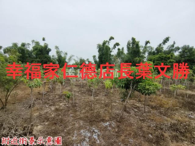 台南新市農地-7