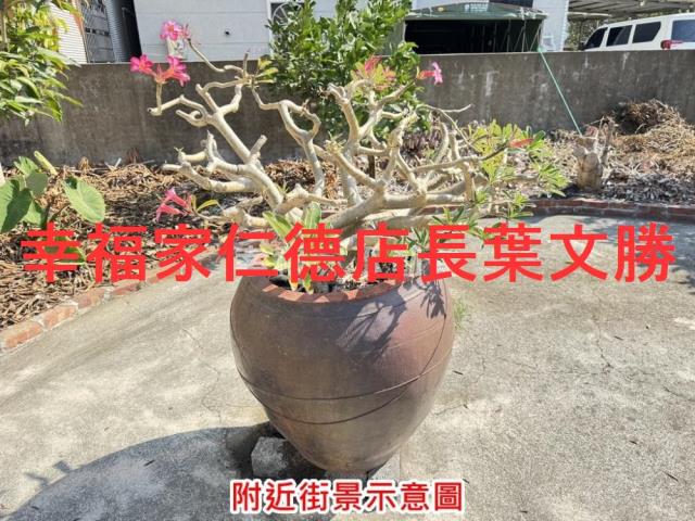 台南麻豆建地-9