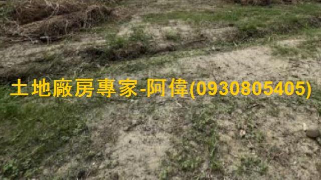 台南麻豆工業地-1