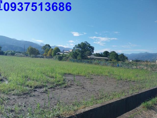 宜蘭三星農地-14