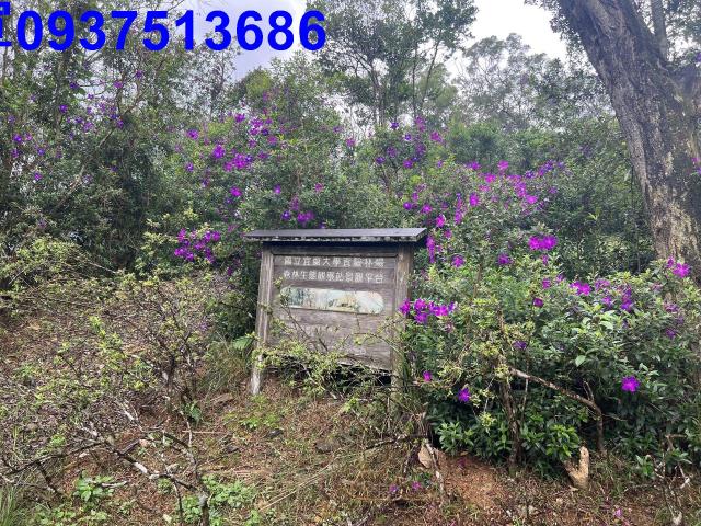 宜蘭礁溪農地-9