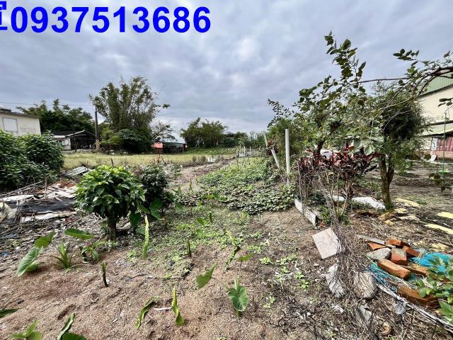 宜蘭壯圍農地-12