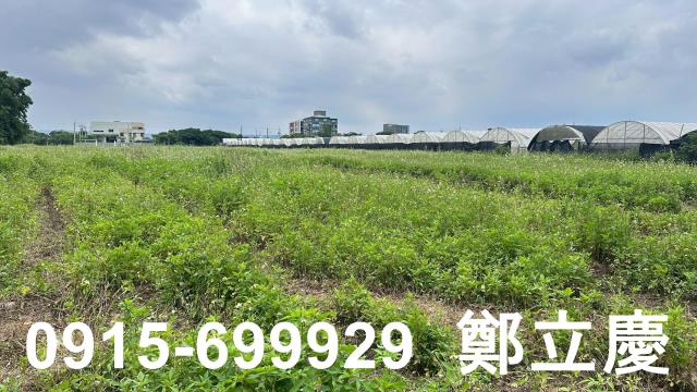 蘆竹交通用地-6