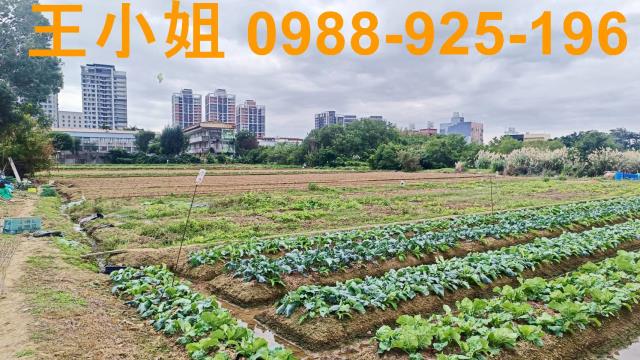 桃園農地-4
