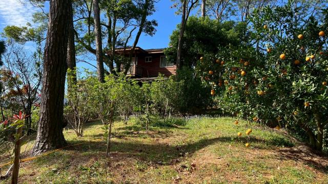 新竹峨眉山坡地-9