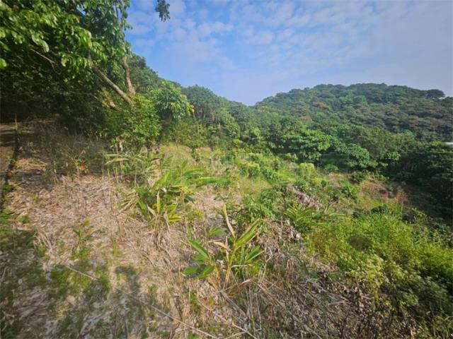 高雄大樹農地-5