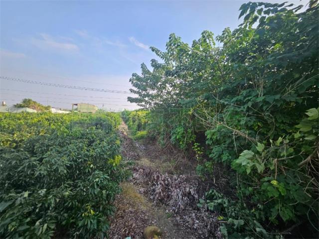 高雄大樹農地-3
