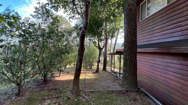 新竹北埔山坡地-13