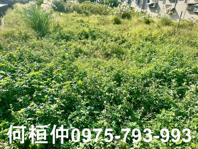 頭份建地-6