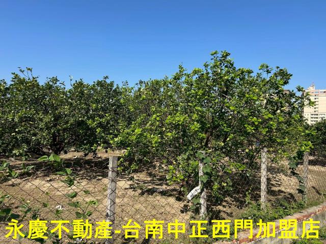 台南麻豆農地-12