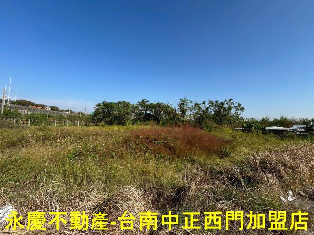 台南麻豆農地-10