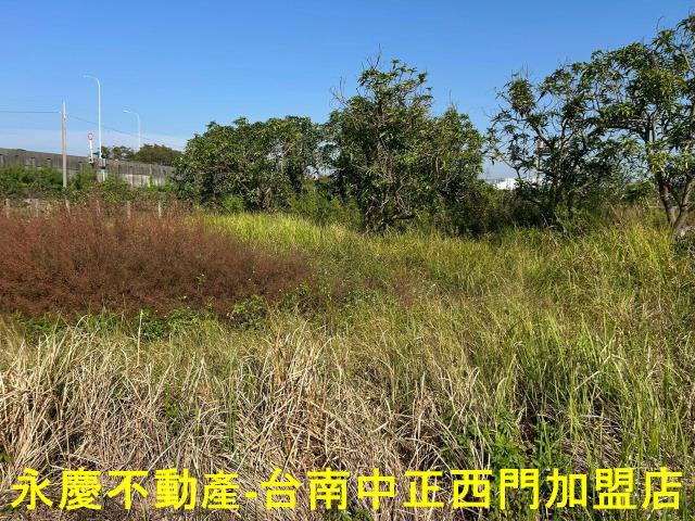 台南麻豆農地-8