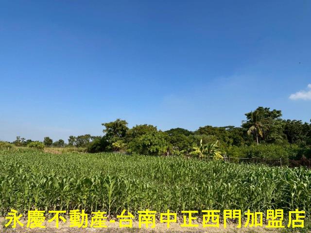 台南新化農地-2