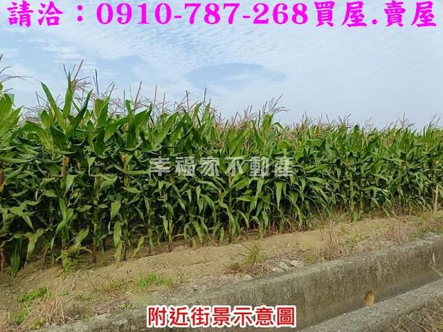 台南西港農地-4