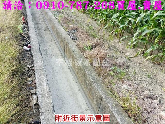 台南西港農地-6