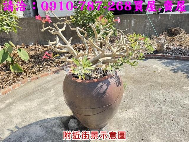 台南麻豆農地-8