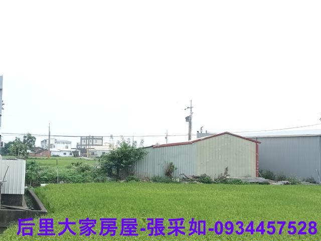 苗栗苑裡農地-1