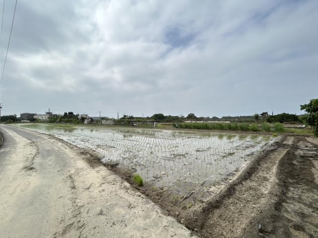 梓官農地-4