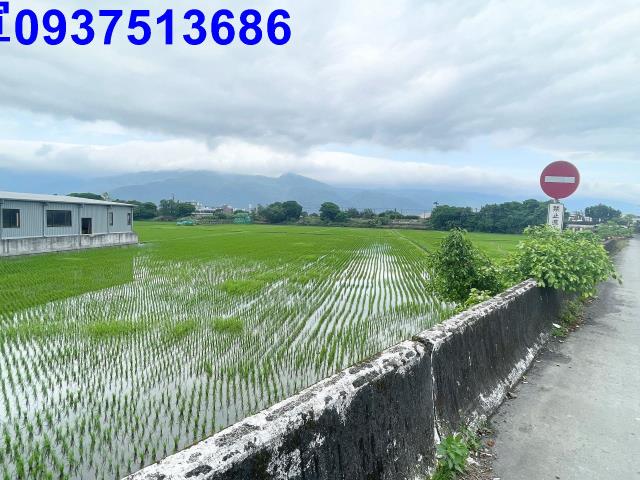 宜蘭礁溪農地-14