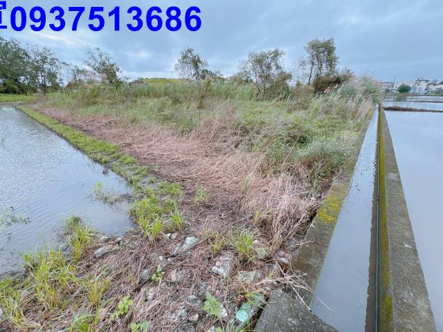 宜蘭宜蘭市農地-2