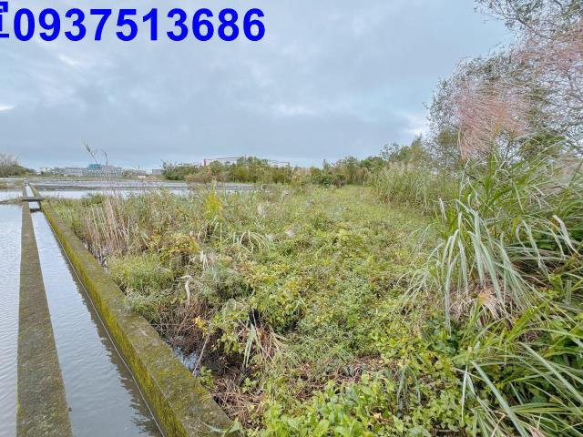 宜蘭宜蘭市農地-8