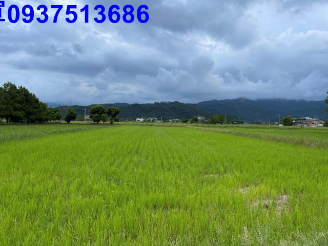 宜蘭三星農地-7