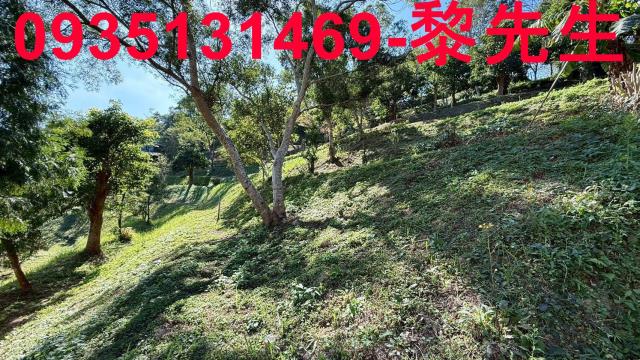 新竹峨眉農地-3